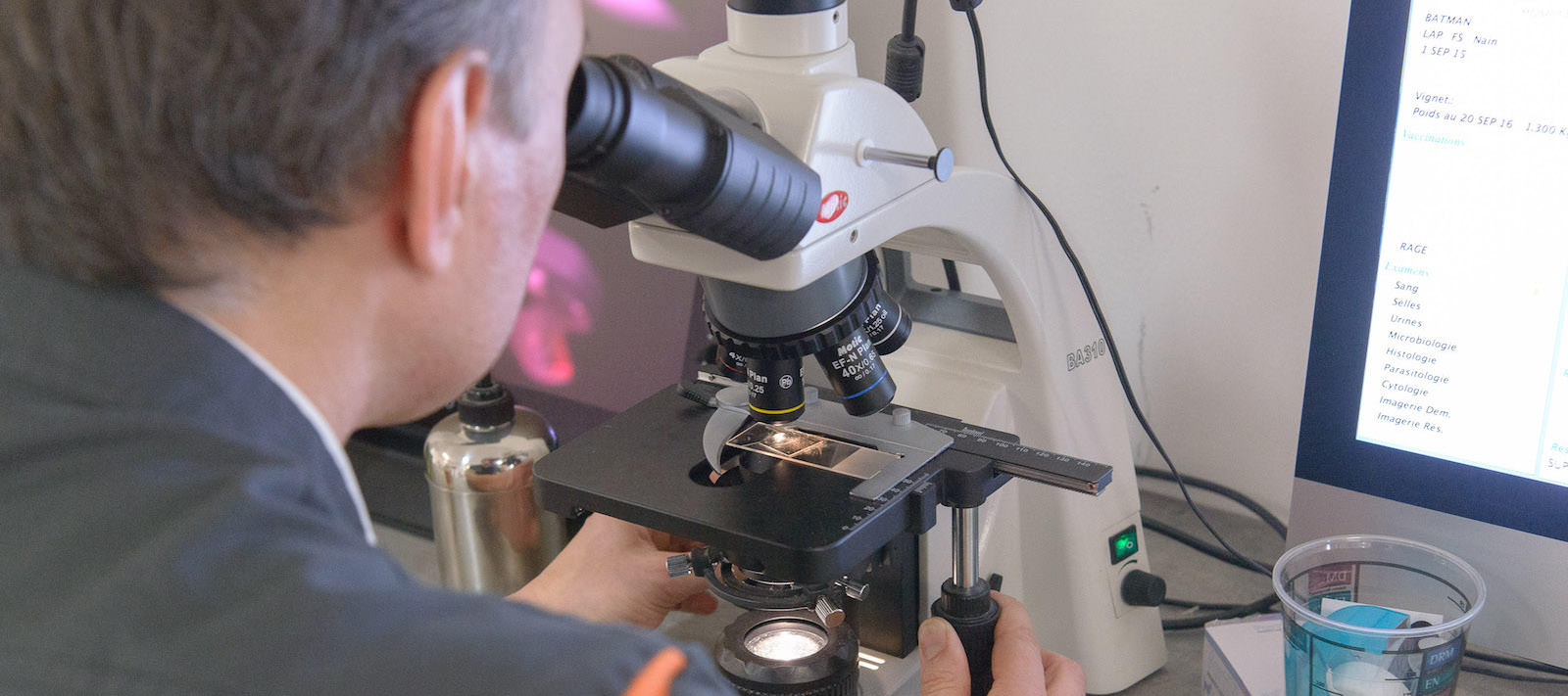 Laboratoire de la Clinique Vétérinaire à Saint Herblain