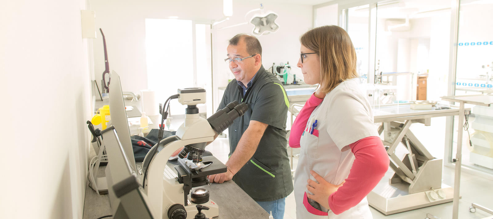 Vétérinaires de la Clinique de l'Arche à Nantes